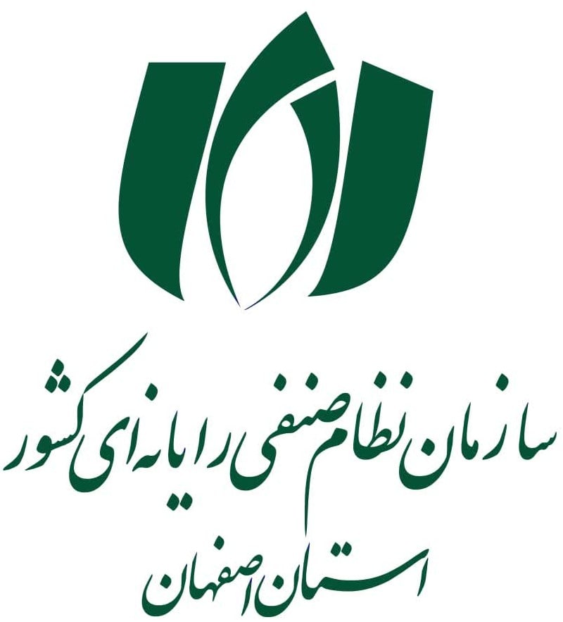 سازمان نظام صنفی رایانه ای کشور